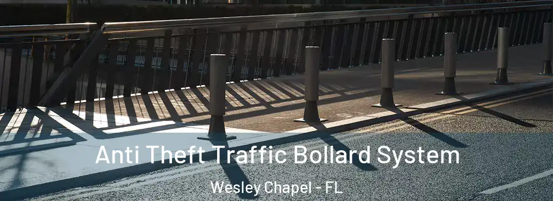  Anti Theft Traffic Bollard System Wesley Chapel - FL