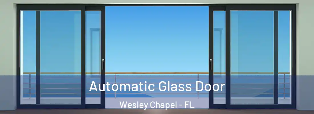  Automatic Glass Door Wesley Chapel - FL