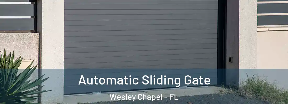  Automatic Sliding Gate Wesley Chapel - FL
