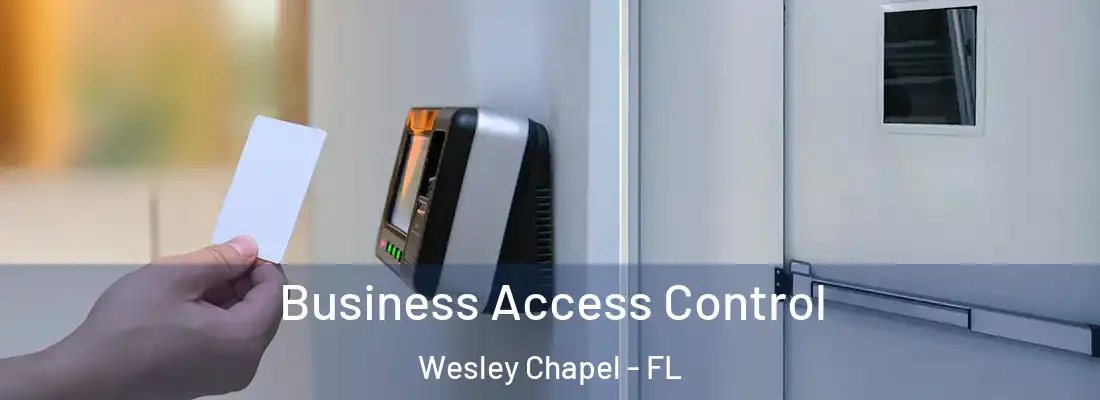  Business Access Control Wesley Chapel - FL