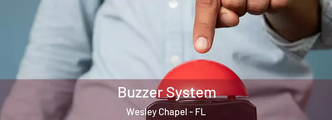  Buzzer System Wesley Chapel - FL