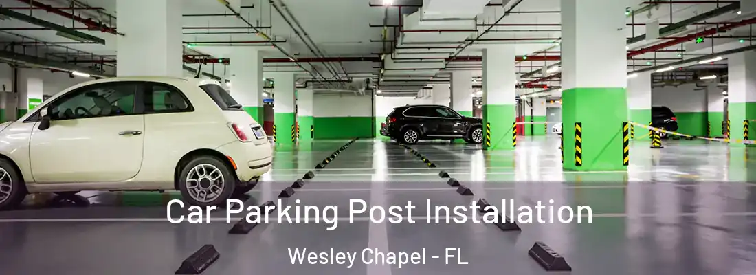  Car Parking Post Installation Wesley Chapel - FL