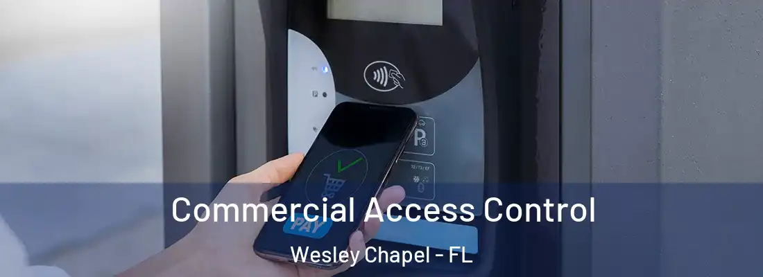  Commercial Access Control Wesley Chapel - FL