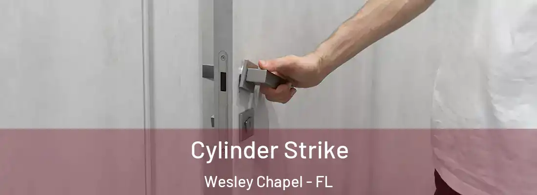  Cylinder Strike Wesley Chapel - FL