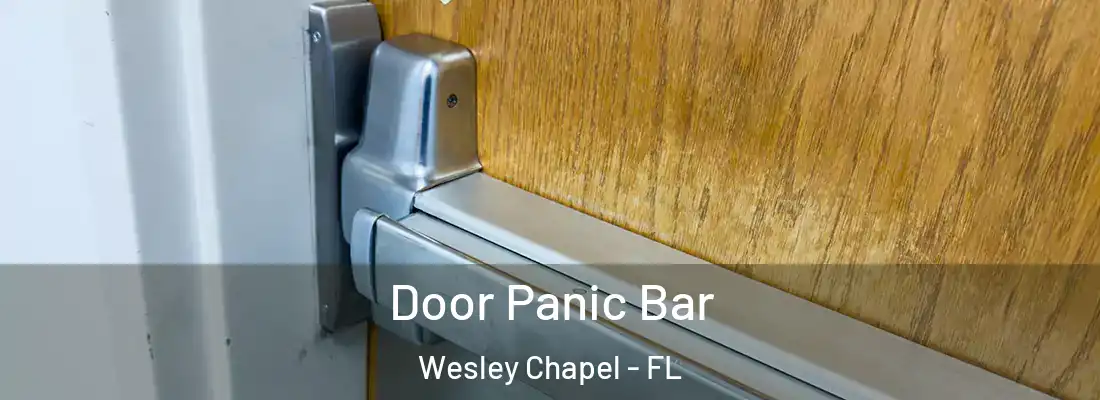  Door Panic Bar Wesley Chapel - FL