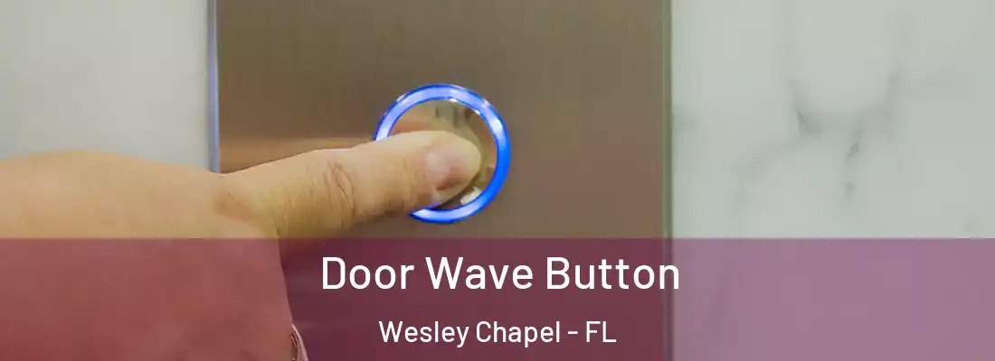 Door Wave Button Wesley Chapel - FL