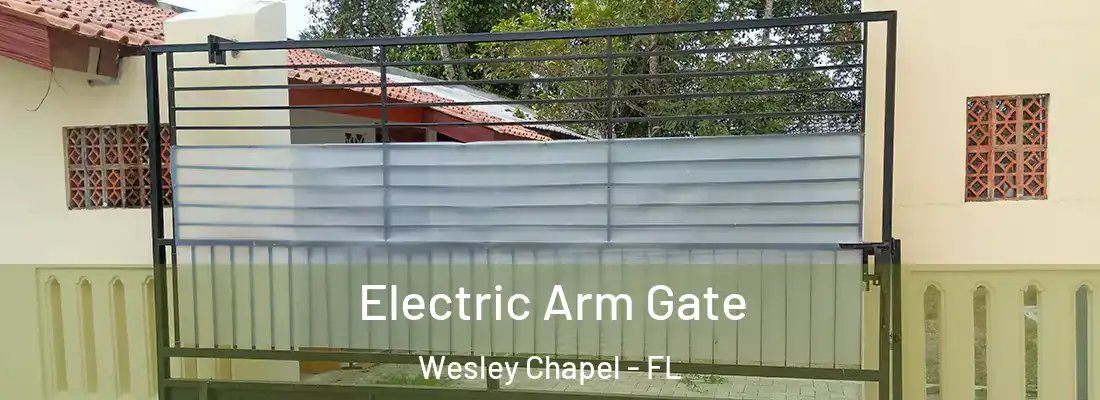  Electric Arm Gate Wesley Chapel - FL