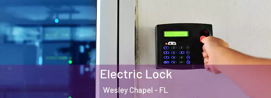  Electric Lock Wesley Chapel - FL