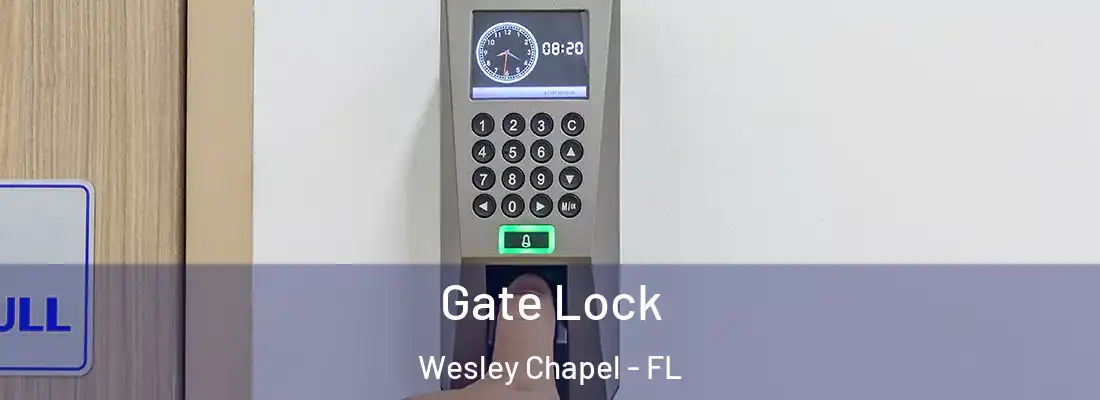  Gate Lock Wesley Chapel - FL