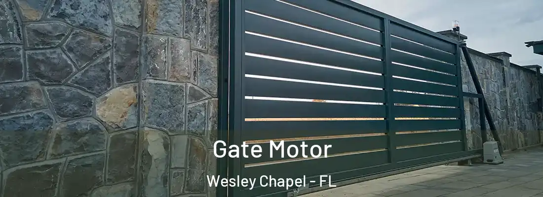  Gate Motor Wesley Chapel - FL