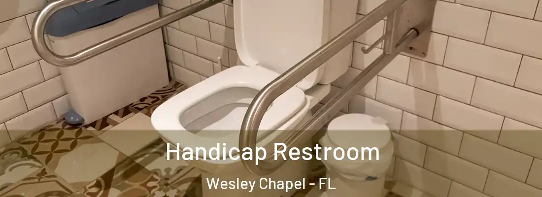  Handicap Restroom Wesley Chapel - FL