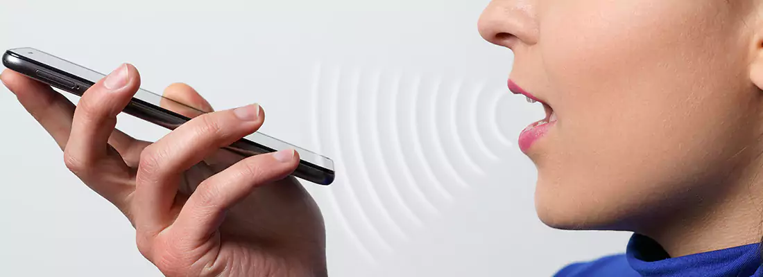 Residential and Commercial Voice Recognition Access Solutions in Wesley Chapel, FL