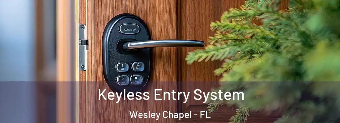  Keyless Entry System Wesley Chapel - FL