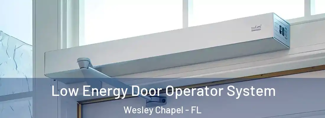  Low Energy Door Operator System Wesley Chapel - FL