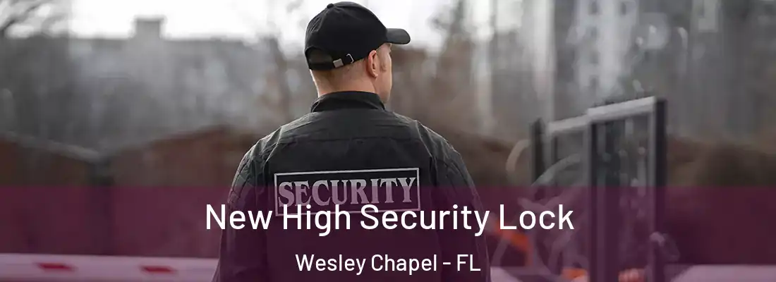  New High Security Lock Wesley Chapel - FL
