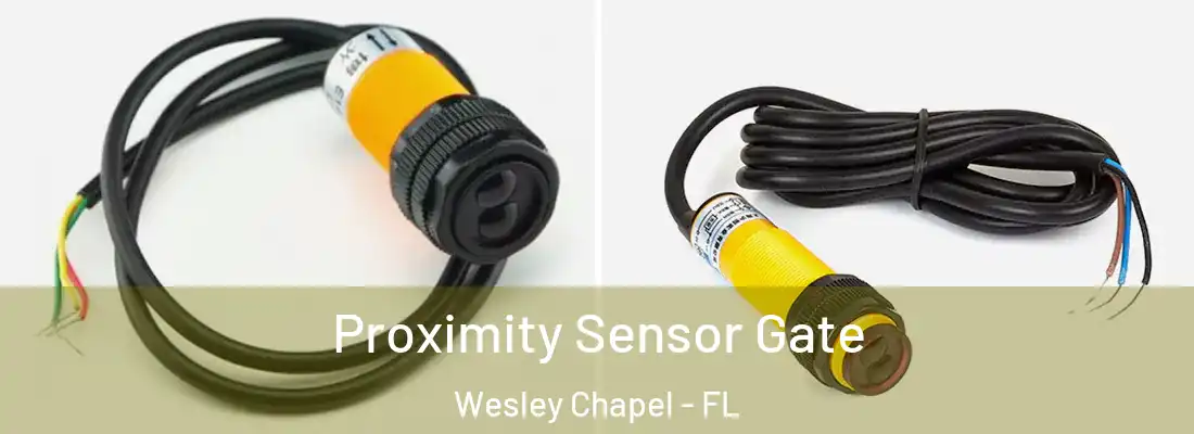  Proximity Sensor Gate Wesley Chapel - FL