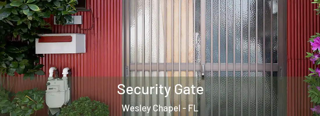 Security Gate Wesley Chapel - FL
