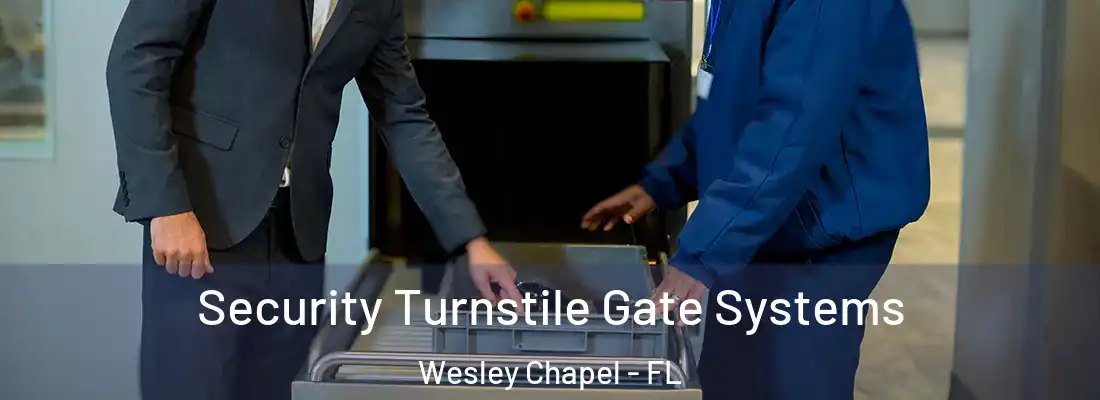 Security Turnstile Gate Systems Wesley Chapel - FL