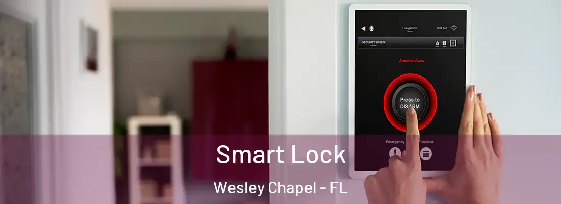  Smart Lock Wesley Chapel - FL