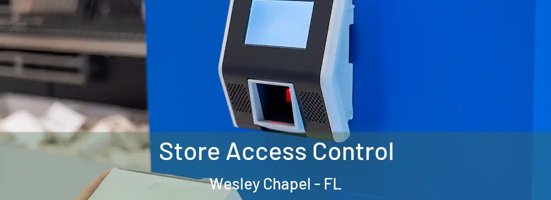 Store Access Control Wesley Chapel - FL