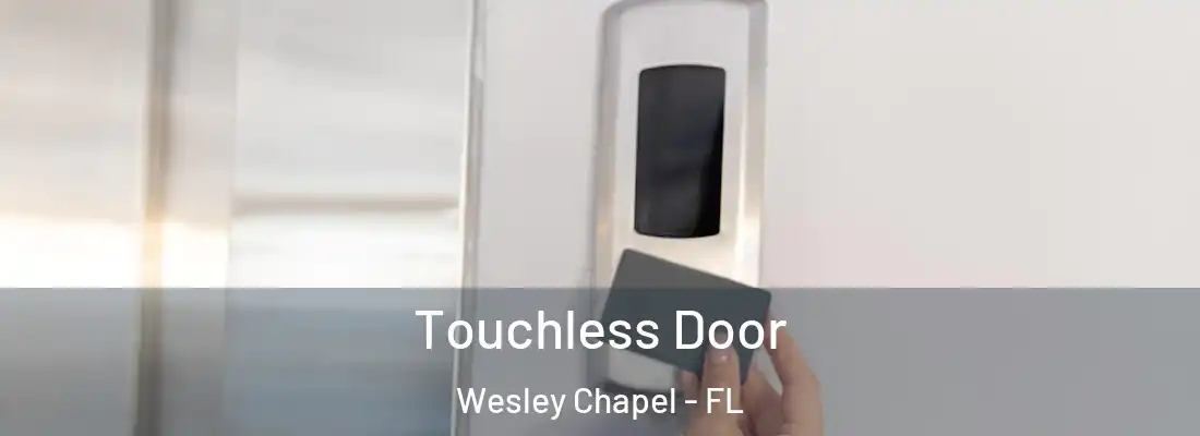 Touchless Door Wesley Chapel - FL