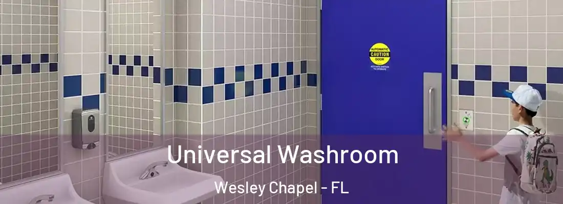  Universal Washroom Wesley Chapel - FL